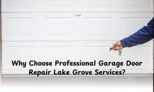 Why-Choose-Professional-Garage-Door-Repair-Lake-Grove-Services